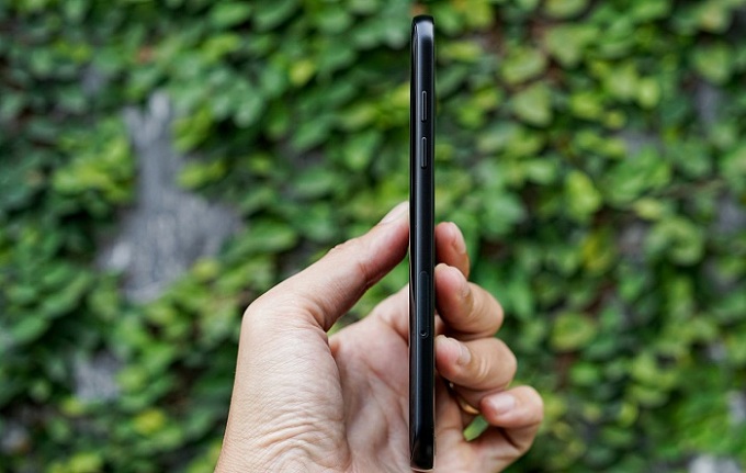 canh-trai-la-cum-phim-tang-giam-am-luong-va-khay-sim