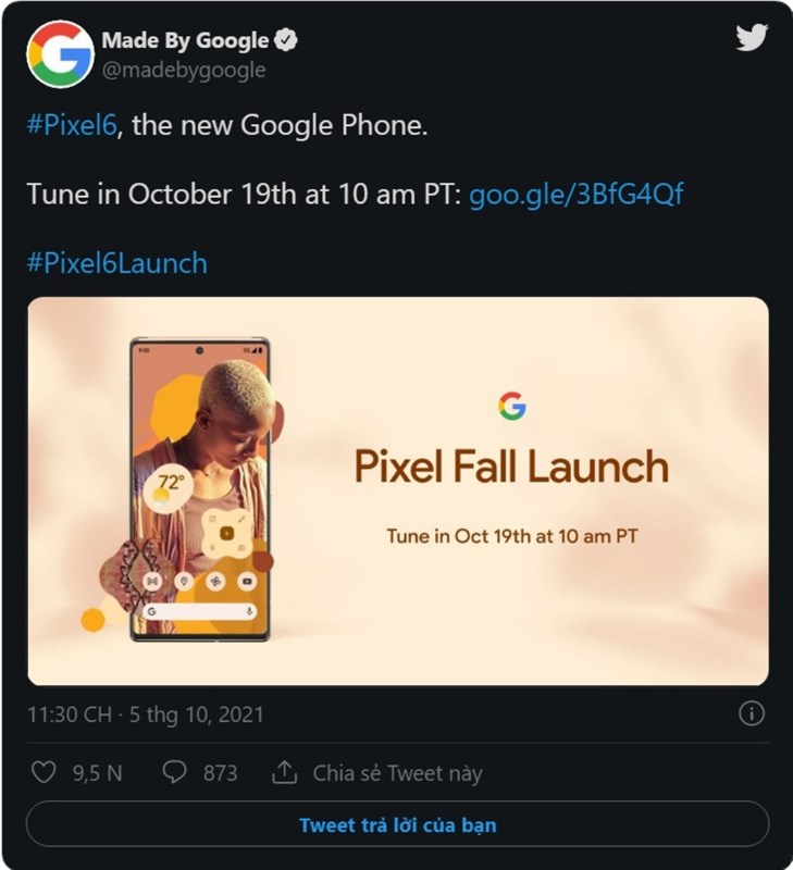 poster Google Pixel 6, Pixel 6 Pro