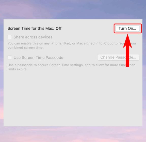 Bật tính năng Screen Time trên MacBook Bước 4-2