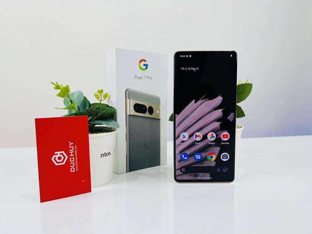 hiển thị Google Pixel 7 Pro 5G