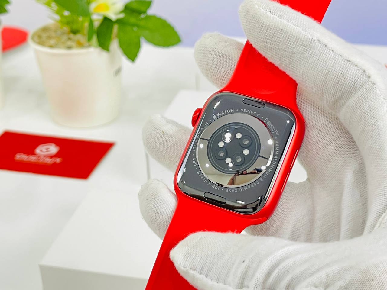 mặt sau Apple Watch Series 6 44mm LTE