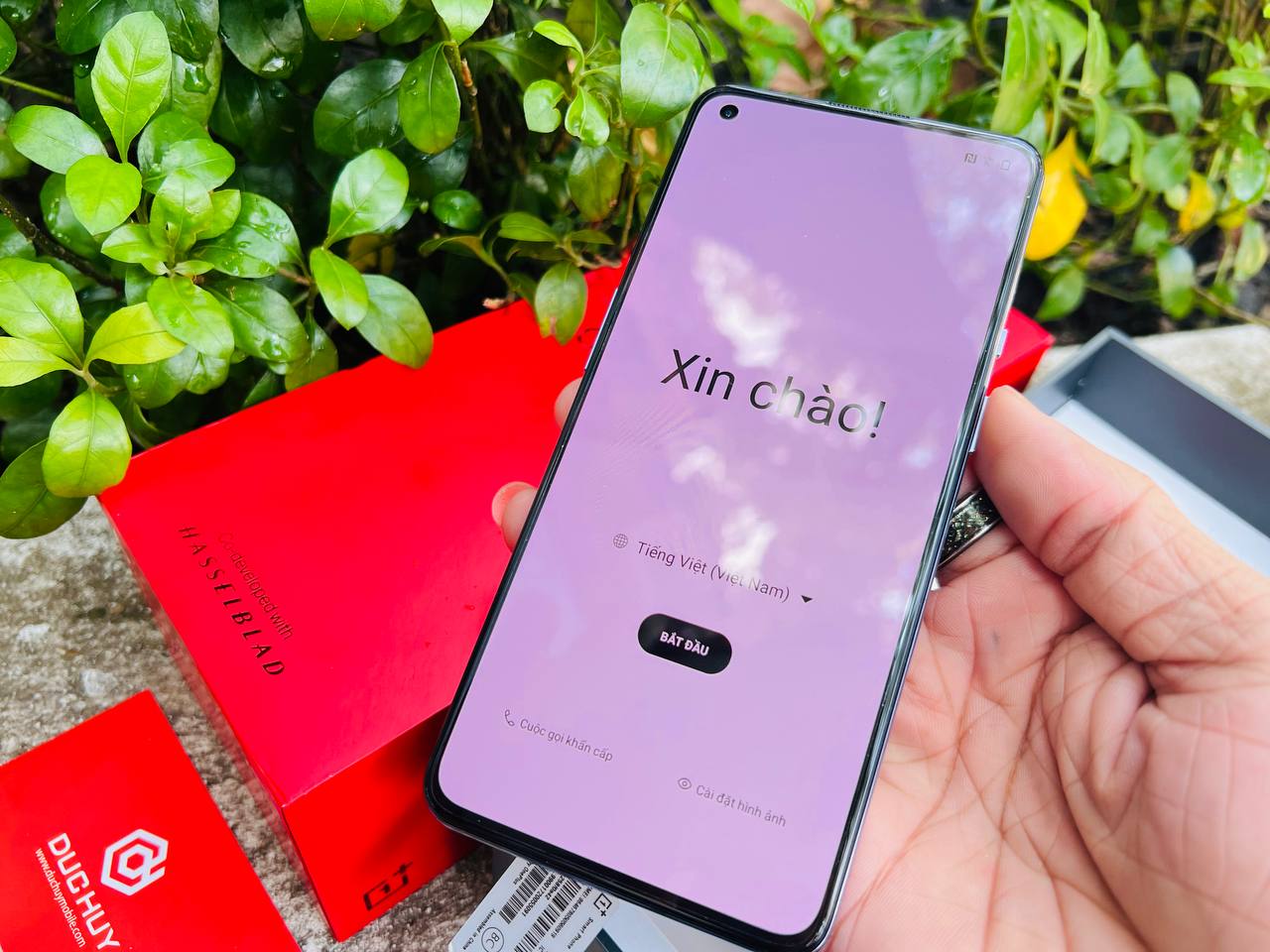 màn hình OnePlus 9 5G 