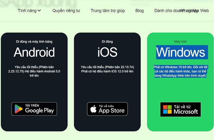 Cách tải WhatsApp trên điện thoại, máy tính