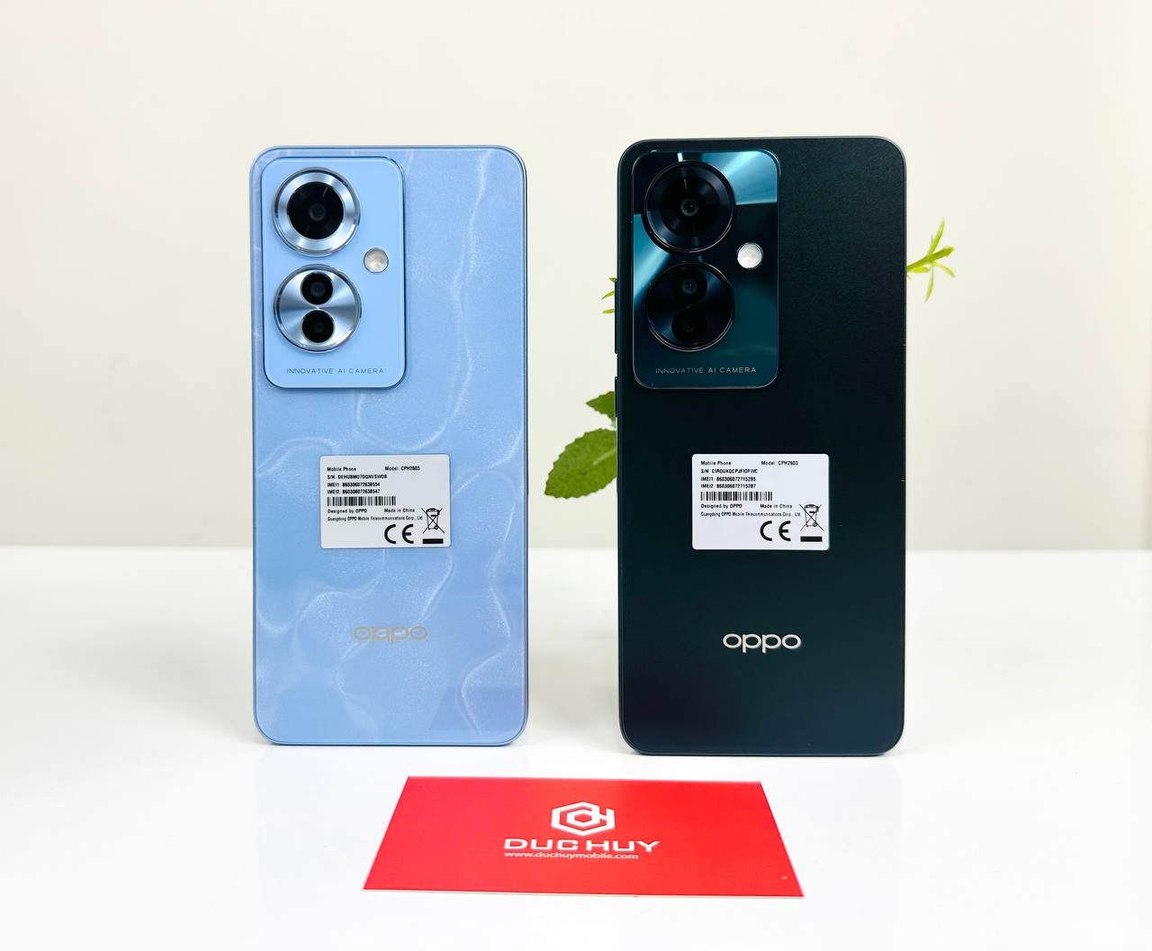 màu sắc OPPO Reno11 F 5G trẻ trung