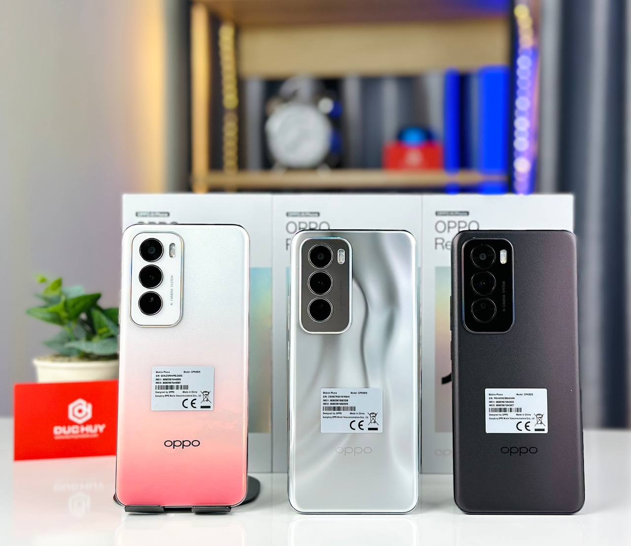 OPPO Reno12 cũ