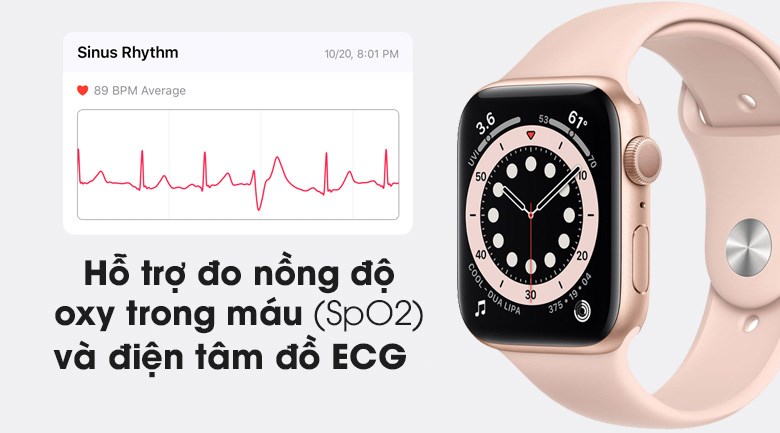 đo Apple Watch Series 6 40mm LTE
