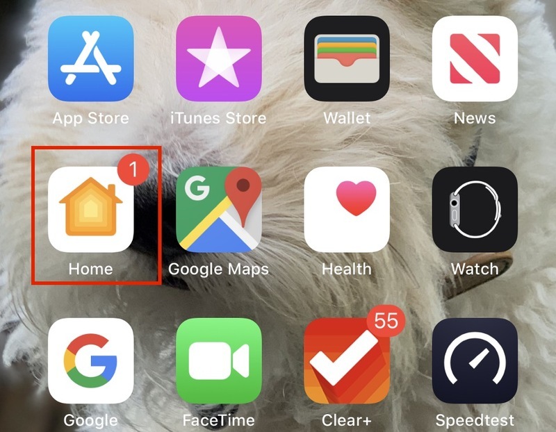 Apple lại ra iOS 13.2.1 sẽ hiện thông báo trên Home