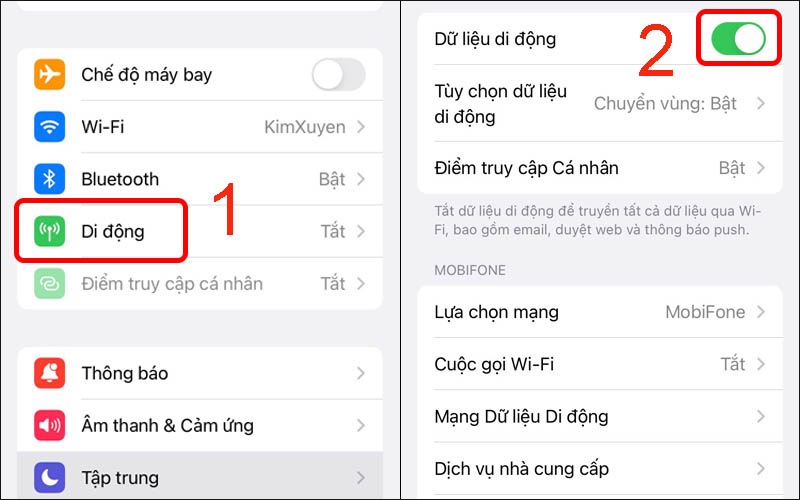 Cách chuyển vùng dữ liệu trên điện thoại iPhone