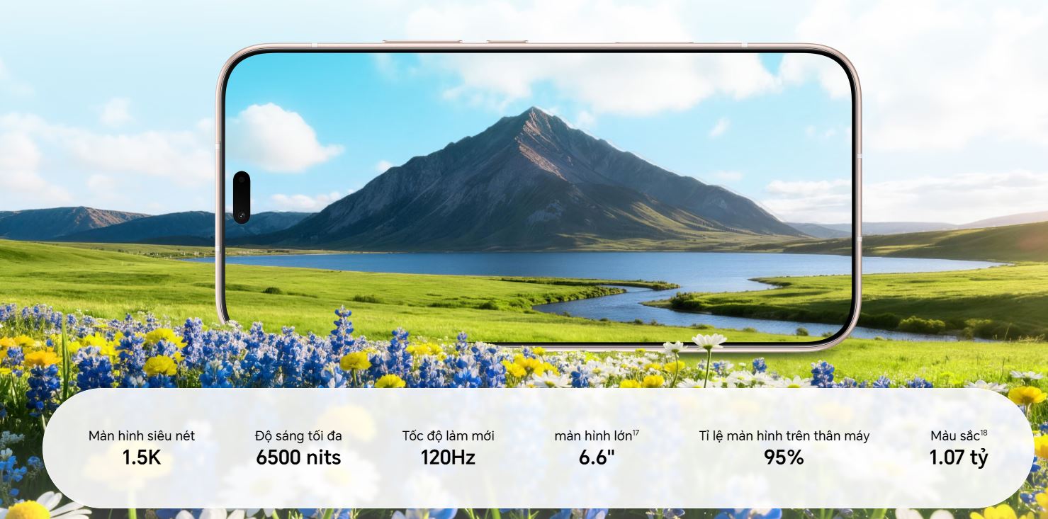Các tính năng màn hình Honor 600 Lite