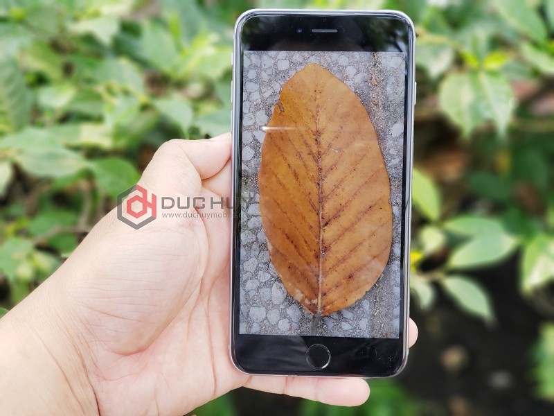 Màn hình iPhone 6s Plus