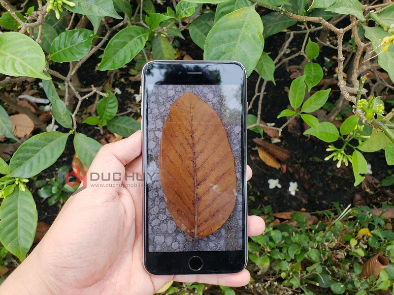 Màn hình iPhone 6s Plus