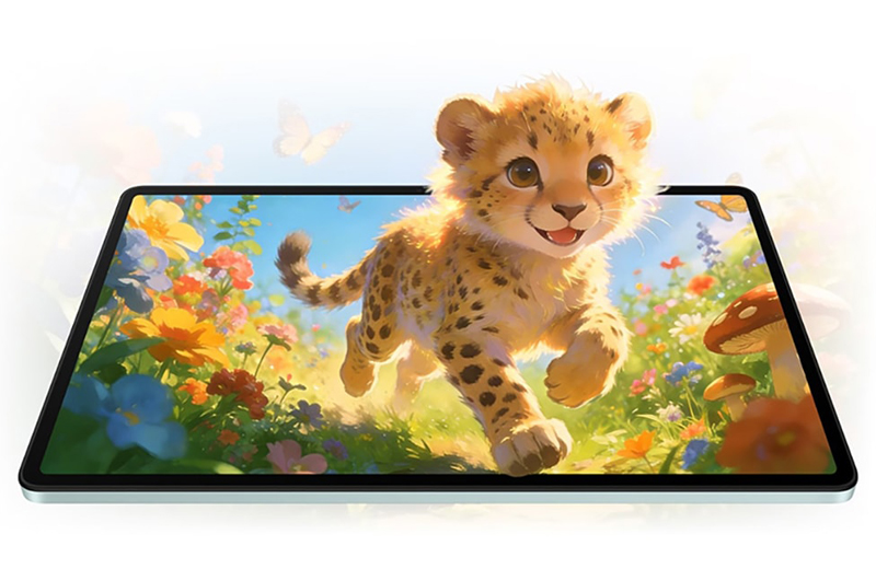 màn hình 11 inch độ phân giải Full HD