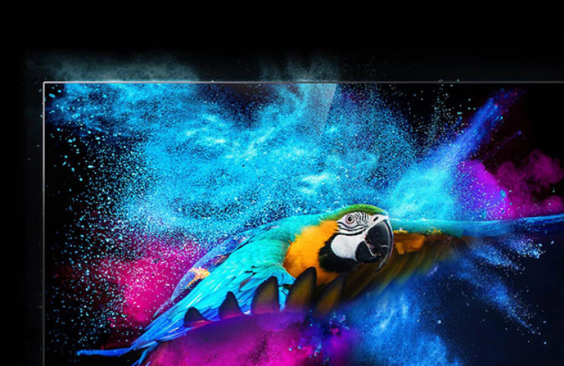  dolby vision trên tivi