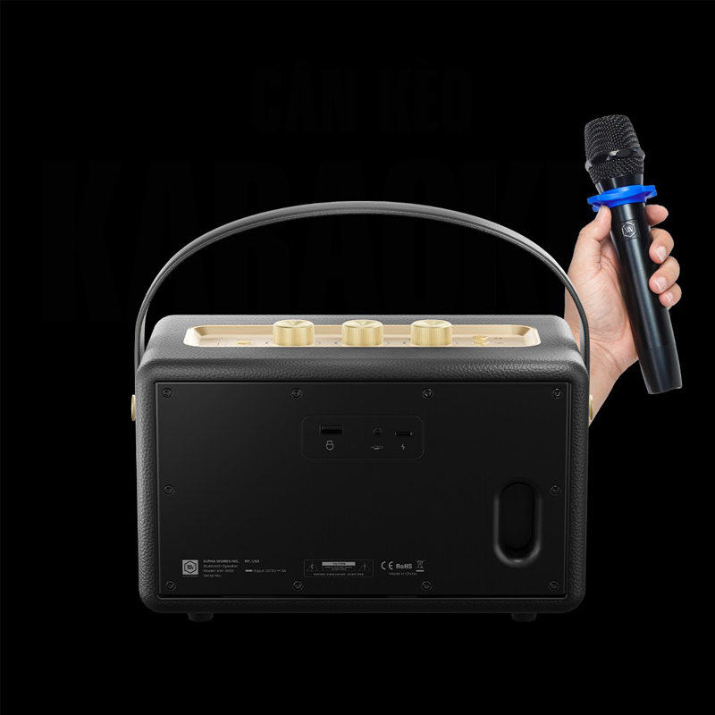 Cổng AUX IN 3.5mm cho khả năng kết nối với microphone