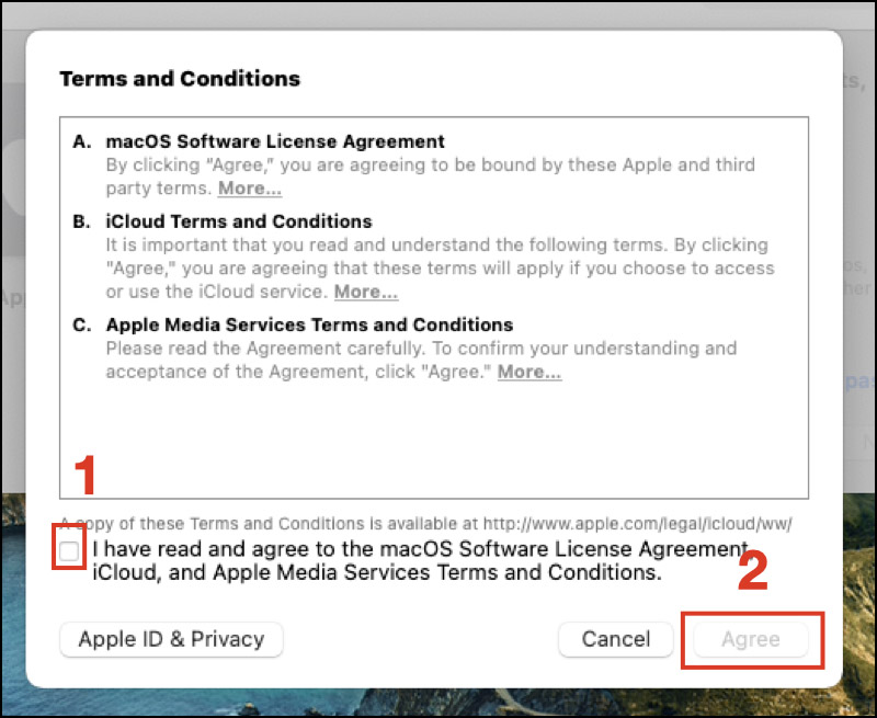 Chọn mục I have read and agree