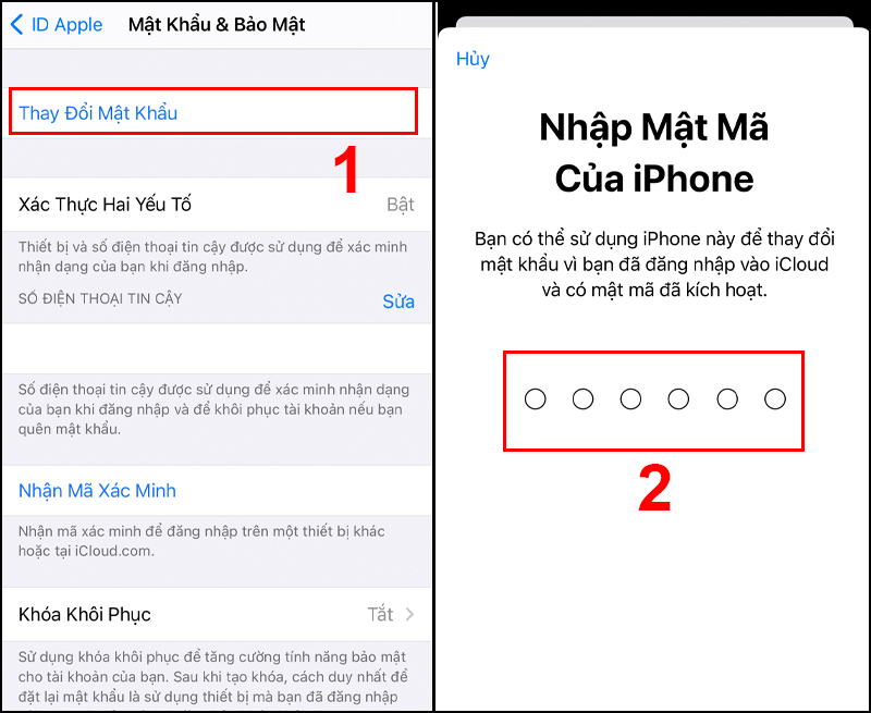 nhập số điện thoại mà bạn sử dụng với ID Apple