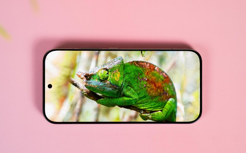 Màn hình OLED 6.3 inch nhỏ gọn