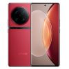 Vivo X100