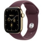 Apple Watch Series 12