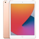 iPad Gen 8 2020 128GB