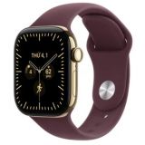 Apple Watch Series 12