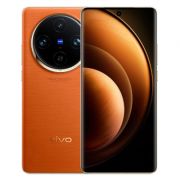 Vivo X100