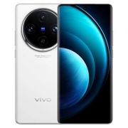 Vivo X100