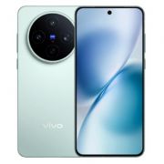 Vivo X200s Vivo X200s