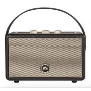 Loa Bluetooth Alpha Works AW-W88