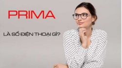 Số điện thoại Prima là gì? Cách nhận biết và chặn hiệu quả
