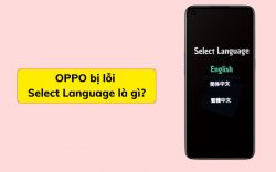 OPPO bị lỗi Select Language: Nguyên nhân và 3 cách khắc phục