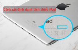 Hướng dẫn cách xác định danh tính chiếc iPad của bạn Hướng dẫn cách xác định danh tính chiếc iPad của bạn