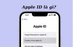 ID Apple là gì? Hướng dẫn cách xem ID Apple trên iPhone ID Apple là gì? Hướng dẫn cách xem ID Apple trên iPhone
